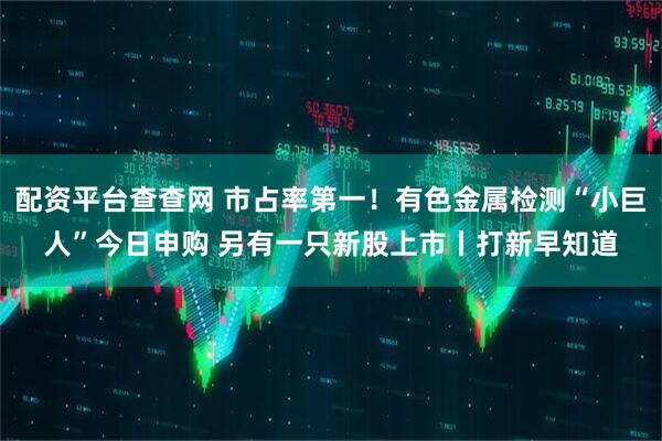 配资平台查查网 市占率第一！有色金属检测“小巨人”今日申购 另有一只新股上市丨打新早知道